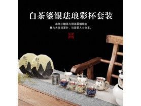 森绅小罐珐琅彩桶杯999足银茶杯+陈年白毫银针福鼎正宗古树寿眉白茶茶饼礼品盒装